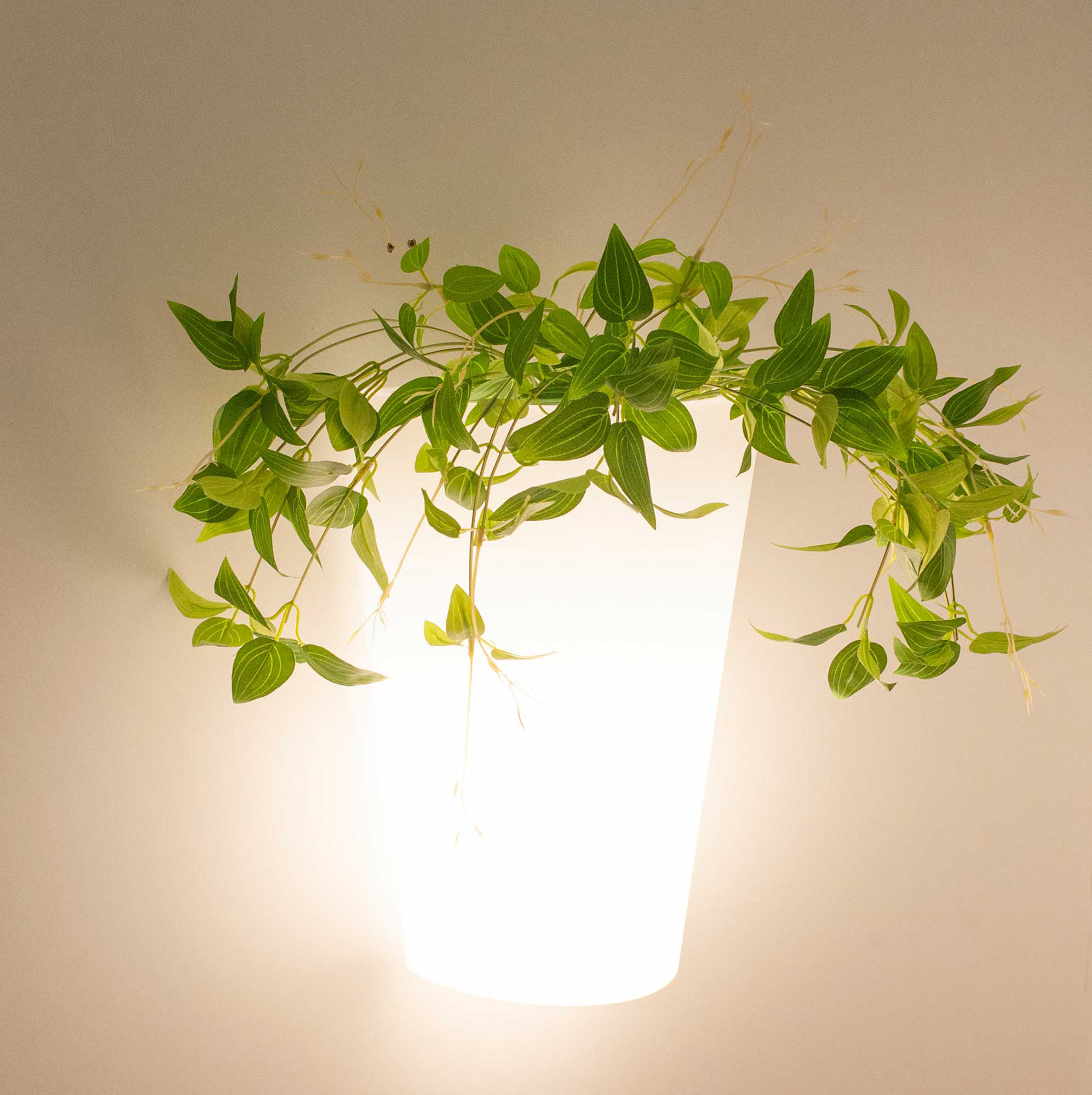Teja Exterior Lights Mantra Exterior Wall Lights Teja Exterior Lights Mantra Exterior Wall Lights